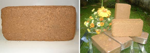 coir bricks