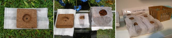 grow cubes
