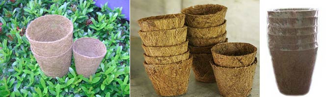 coir_pots